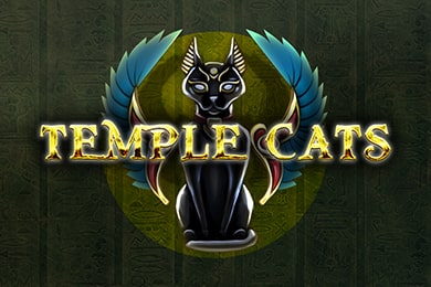 Играть в Templecats Вольта Казино